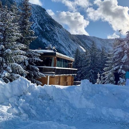Chalet Robaumont - Grand Chalet Familial Proche Du Centre Et Des Pistes 谷雪维尔 外观 照片