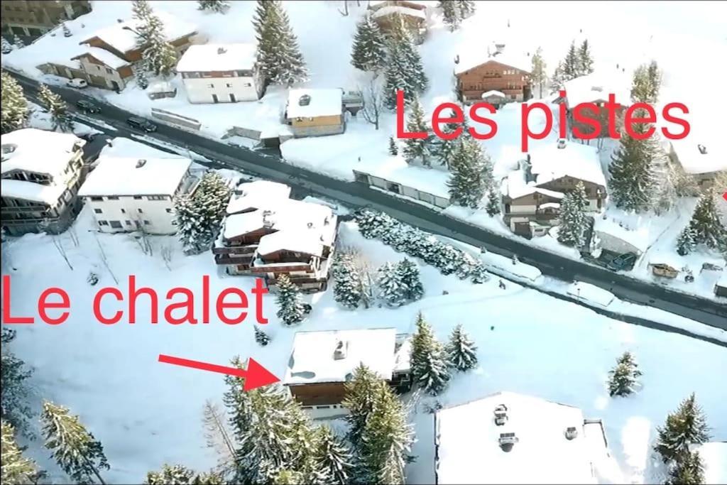 Chalet Robaumont - Grand Chalet Familial Proche Du Centre Et Des Pistes 谷雪维尔 外观 照片
